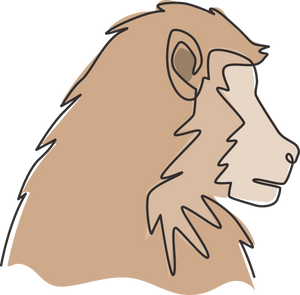 Primates