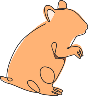 Small Mammals