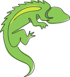 Lizards
