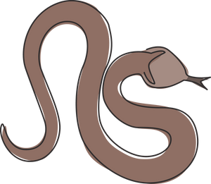 Snakes