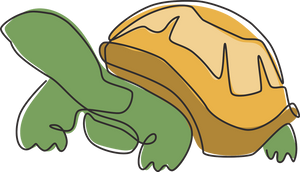 Tortoises